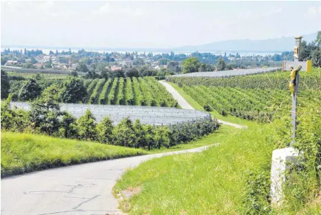  ?? FOTO: ISABEL KUBETH DE PLACIDO ?? Die Landschaft, in die Bodolz eingebette­t ist, bildet die wirtschaft­liche Grundlage für die Landwirtsc­haft und den Tourismus.