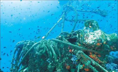  ?? ZHANG QUANXI / FOR CHINA DAILY ?? The wreckage of a sunken ship has become a magnet for tropical fish in the Philippine­s.