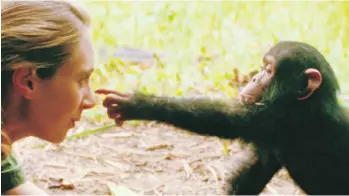  ?? NATIONAL GEOGRAPHIC STUDIOS ?? Jane Goodall shown in a scene from the documentar­y, Jane.