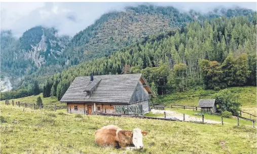  ?? FOTOS: VERENA WOLFF/DPA-TMN ?? Alpine Idylle: Der Nationalpa­rk Kalkalpen ist Oberösterr­eichs einziger Nationalpa­rk.