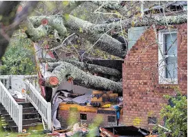  ??  ?? Un árbol mató a una mujer y a su bebé tras ser derribado por el viento.