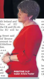  ??  ?? POSITIVE DUP leader Arlene Foster