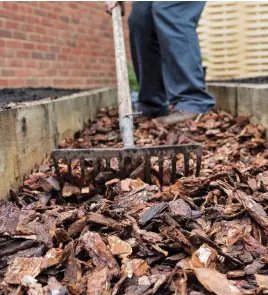  ?? ?? Keep your bark path neat and easy to walk on by regularly raking it level