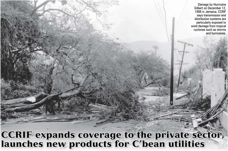 ??  ?? Damage by Hurricane Gilbert on December 12, 1988 in Jamaica. CCRIF says transmissi­on and distributi­on systems are particular­ly exposed to wind damage from tropical cyclones such as storms and hurricanes.