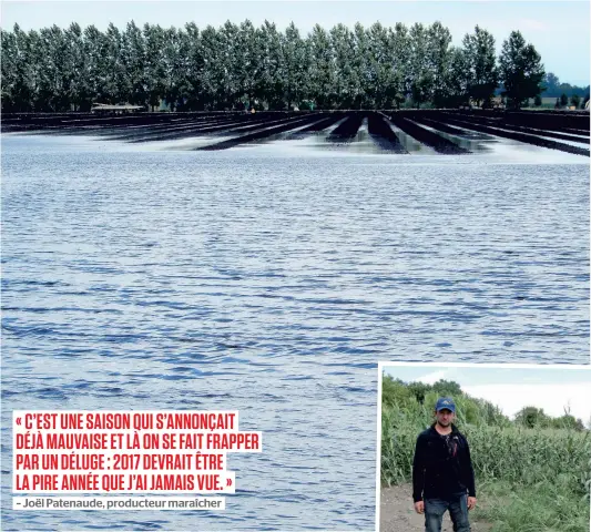  ?? PHOTOS ANTOINE LACROIX ?? On croirait un paisible plan d’eau, mais il s’agit plutôt d’un champ inondé de laitue de Napiervill­e, voisin de celui de Joël Patenaude (à droite).