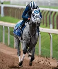  ?? Skip Dickstein / Special to the Times Union ?? Belmont Stakes winner Essential Quality worked on the main track under jockey Luis Saez in company with Bingo John and jockey Manny Franco at Saratoga Race Course on Saturday in preparatio­n for the Grade II $600,000 Jim Dandy, which will be contested on July 31.