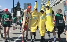  ?? MATT ROBINSON ?? A bunch of bananas mingle with a hotdog at the Sun Run 2018 finish line on Sunday.