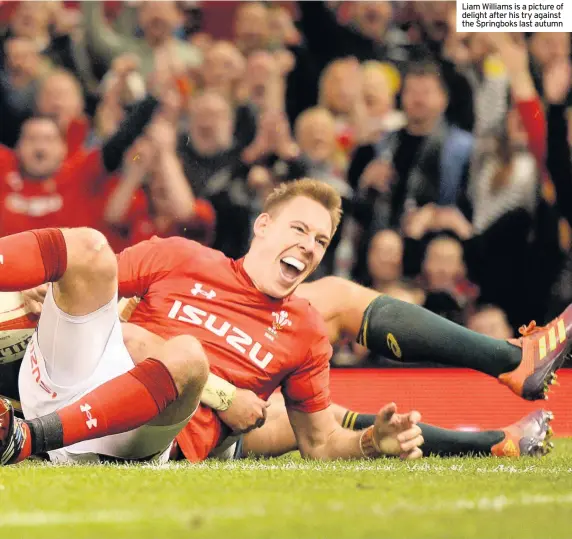  ??  ?? Liam Williams is a picture of delight after his try against the Springboks last autumn