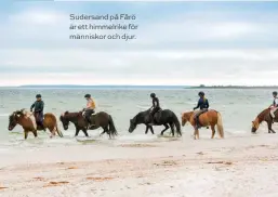  ??  ?? Sudersand på Fårö är ett himmelrike för människor och djur.