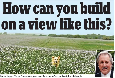  ??  ?? Under threat: Three Farms Meadows near Ockham in Surrey. Inset: Tony Edwards