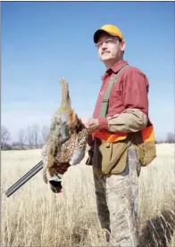  ??  ?? Lewis Peeler of Wynne holds a ring-necked pheasant bagged while hunting on an Arkansas game farm. Released pen-raised birds can be hunted on many private preserves around the state.