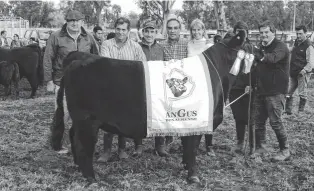  ??  ?? de pedigree hembra fue para Don Abraham, de Karen Croenenber­g, en Tres Arroyos. La GC