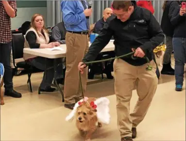  ?? ANDREW CASS — THE NEWS-HERALD ?? A dog dressed as cupid competes in the costume contest portion of the Eastlake Community Dog Show Feb. 11. The event helped raise funds for a new K-9 for the Eastlake Police Department.