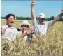  ?? PROVIDED TO CHINA DAILY ?? Chinese and Russian experts celebrate the fruits of their innovative cooperatio­n in agricultur­e in Baicheng, Jilin province.