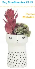  ??  ?? Planter Matalan £8