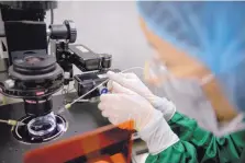  ?? MARK SCHIEFELBE­IN/ASSOCIATED PRESS ?? A fine glass pipette is installed into a sperm injection microscope at a laboratory in Shenzhen in southern China’s Guangdong province on Oct. 9.