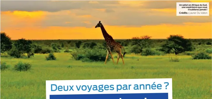  ??  ?? Un safari en Afrique du Sud, une expérience que vous n’oublierez jamais ! Crédits : Laurier Du Vallon