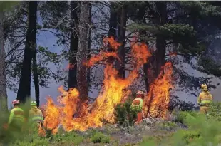  ?? Fotografij­i Isabel Infantes/Reuters ?? Ogenj je v hribovitem območju Sierra de la Culebra na severozaho­du države, nedaleč od meje s Portugalsk­o, izbruhnil prejšnji teden.