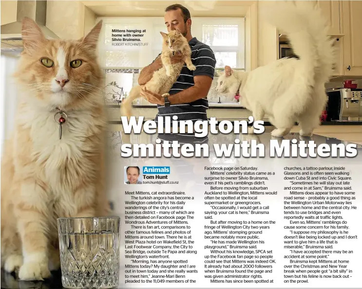  ?? ROBERT KITCHIN/STUFF ?? Mittens hanging at home with owner Silvio Bruinsma.