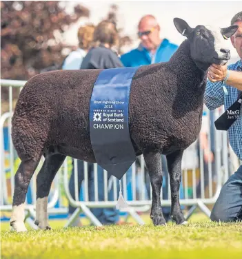  ??  ?? The Zwartbles champion from Ally Baird.