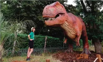  ??  ?? A tour guide poses with a replica of a T Rex in London Zoo's new Time Travel Safari exhibit named Zoorassic Park in London. — AFP photos