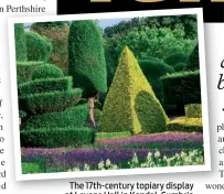  ??  ?? The 17th-century topiary display at Levens Hall in Kendal, Cumbria