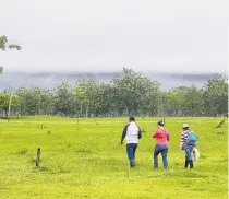  ??  ?? Con las demandas étnicas se recupera más territorio, porque se trata de comunidade­s que requieren tierra para sus actividade­s.