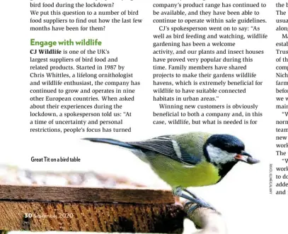  ??  ?? Great Tit on a bird table