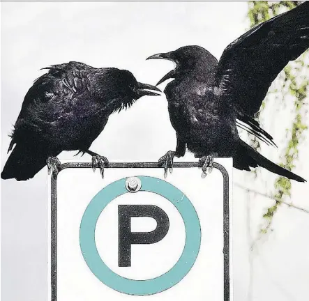  ?? DOREEN THUNDER ?? It can be difficult for condo owners to swap out an assigned parking stall.