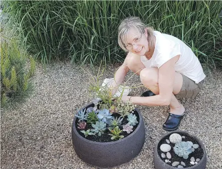  ??  ?? Diane Atter checks her pots filled with water-wise succulent plants.