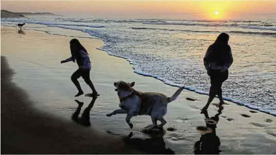  ?? Picture: ALAN EASON ?? MORNING GLORY: The perfect harmony of a sunrise stroll on Nahoon Beach, amid all the problems and assaults on democracy, makes these moments all the more valuable and homely.