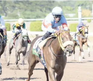  ?? IAN ALLEN/PHOTOGRAPH­ER ?? EARTH ANGEL (Arthur Budhu) winning Division One of the Eight-Thirty Sprint at Caymanas Park yesterday. The three-year-old chestnut filly is trained by Dwight Chen.