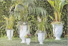  ?? POTTERY BARN VIA AP ?? Lilly Pulitzer’s white trellis-patterned planters are part of a new collaborat­ion the brand has undertaken with Pottery Barn.