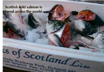  ??  ?? Scottish wild salmon is loved across the world