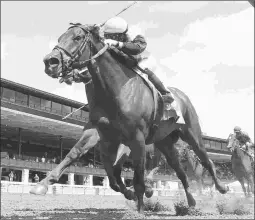  ?? COADY PHOTOGRAPH­Y ?? Guarana outfinishe­s Mia Mischief in the Madison on July 11 at Keeneland. Neither will run in the Ballerina next Saturday.