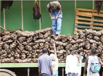  ?? Picture: John Manzongo ?? Potato vendors in Mbare, Harare are selling their produce for electronic payments like EcoCash.
US$ 5 to US$ 7 a pocket or $190. They do not accept