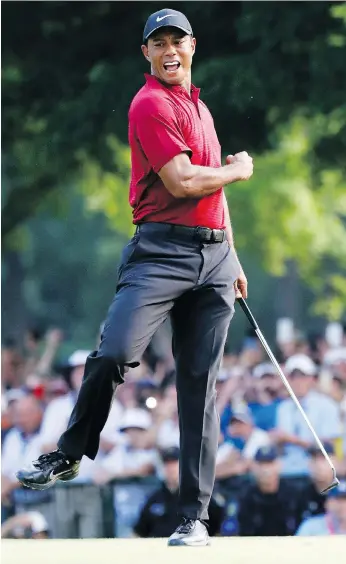  ?? THE ASSOCIATED PRESS ?? Tiger Woods was making putts and charging up the leaderboar­d like the Tiger of old on Sunday at the PGA Championsh­ip, falling just short in his furious bid to catch eventual champion Brooks Koepka.