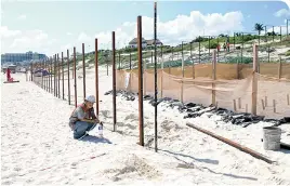  ??  ?? Más de 30 nidos de tortuga en playa Delfines fueron acordonado­s dentro de un corral vigilado por la Dirección de Ecología.