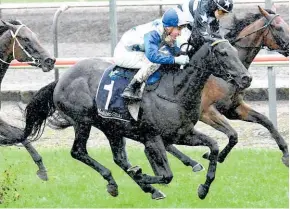  ?? Photo / Race Images ?? Dark Destroyer digs deep in the tough conditions at Matamata to win the Group 3 Bonecrushe­r Stakes (1400m) yesterday.