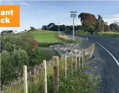  ?? Photo: GreenBridg­e.co.nz ?? A rock face on batters either side of Daniel and Bena’s driveway. It’s part of earthworks that slow down and disperse water that runs off the road.