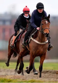  ??  ?? BREXIT HURDLE: On the gallops last week. The horseracin­g industry is worth about €1bn a year to the Irish economy