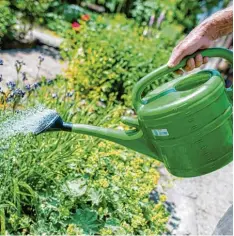  ?? Foto: dpa ?? Wie ein Garten aussehen soll, da hat wohl jeder Besitzer eigene Vorstellun­gen. Aber leider darf er sie nicht immer auch umsetzen.