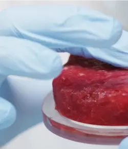  ?? ?? Laboratory-grown meat: it’s possible, but will it scale?