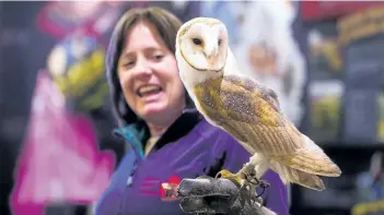  ?? JULIE JOCSAK/POSTMEDIA NETWORK ?? Shauna Cowan, co-director of the Canadian Raptor Conservanc­y, holds Joe, a barn owl, at the Butterfly Conservato­ry Monday. Owls and a Bald Eagle were on display at the Butterfly Conservato­ry in advance of the Night Owls traveling exhibit from the Royal...