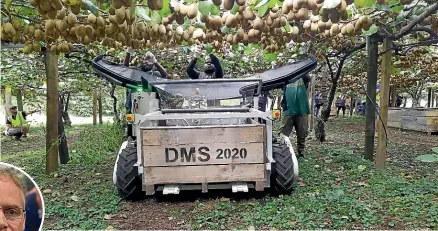  ?? ?? Pickers drop fruit straight into the eBin that gently catches it, avoiding the need for pickers to carry heavy bags of fruit. Inset, Agricultur­al innovation professor at the University of Otago, Craig Bunt.