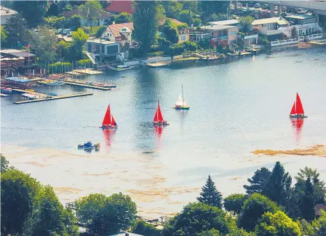  ??  ?? Auch vom Donauturm aus lassen sich die für Wasserspor­tler störenden Pflanzente­ppiche gut ausmachen.