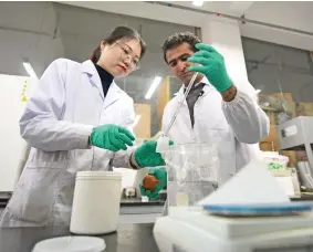  ??  ?? Abdul Ghaffar Shar (right) and his classmate conduct an experiment in China’s Northwest Agricultur­e and Forestry University, northwest China’s Shaanxi Province.