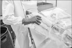  ??  ?? Packing frozen shrimp into bags at the Khanh Sung Seafood Company.