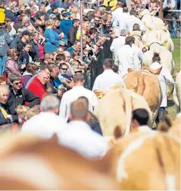  ??  ?? Royal Highland Show members are concerned about the departure of many experience­d staff.