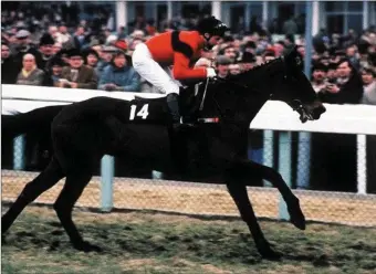  ??  ?? Dawn Run in her prime at Cheltenham in 1986.